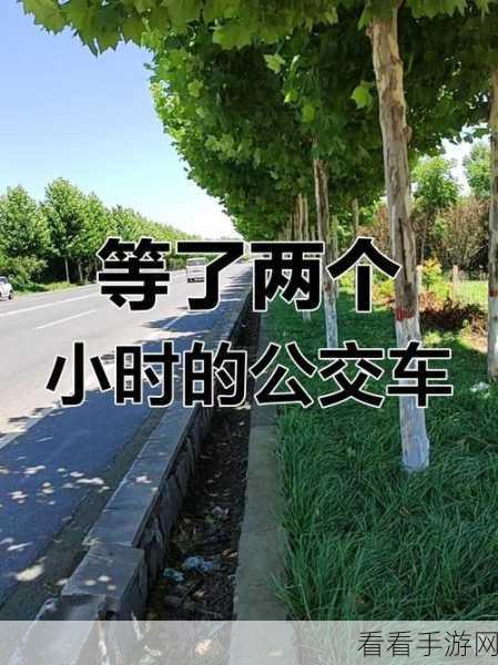 坐公交被弄了两个小时：在公交上遭遇两小时的困扰与无奈经历