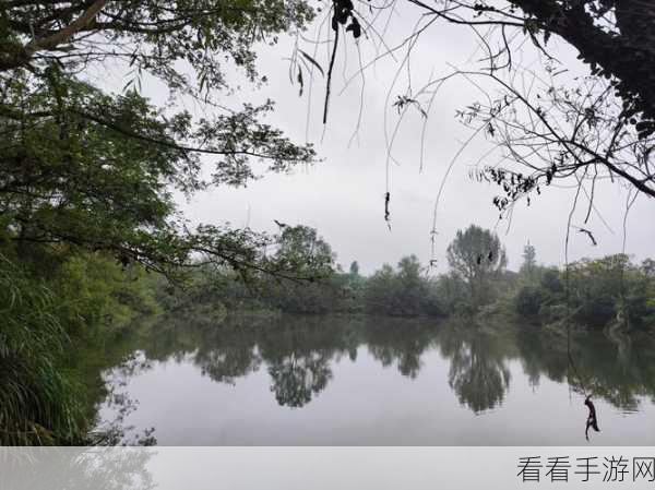 烟雨江湖，探寻寒潭香的神秘所在