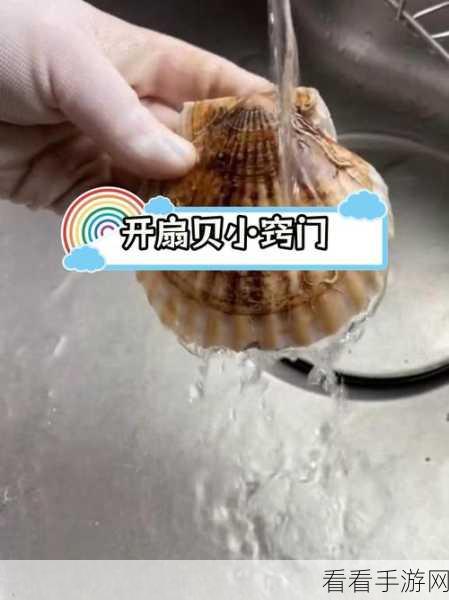 扇贝打开就可以吃火腿肠：尝鲜扇贝，搭配美味火腿肠，尽享海陆风味！