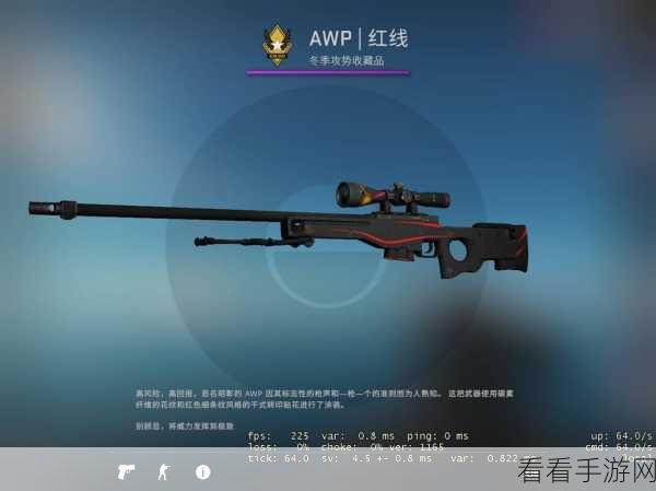 日本csgo大姐姐awp多少钱：日本CSGO大姐姐AWP售价揭秘，带你了解市场行情！