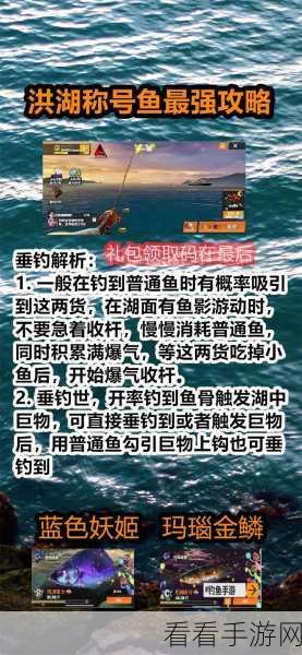 欢乐钓鱼大师，称号鱼垂钓秘籍大公开