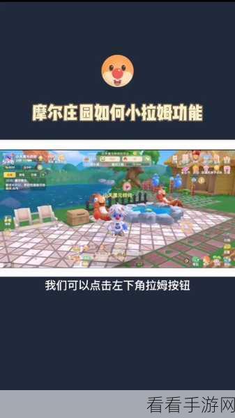 摩尔庄园拉姆陪伴任务全攻略,高效玩法与深度解析