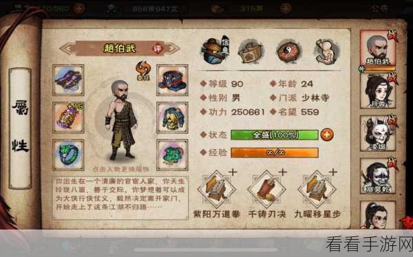 烟雨江湖深度解析,李拳武功搭配策略与实战应用