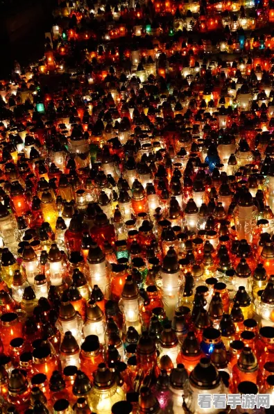 光遇音韵季攻略，雨林区域蜡烛全揭秘，位置数量一网打尽