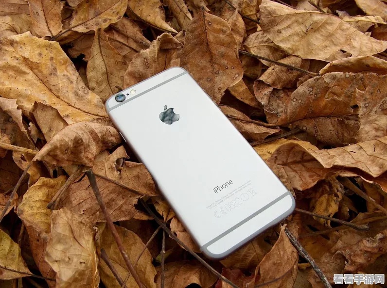 王者荣耀iPhone X黑边问题全解析，如何优雅去除？