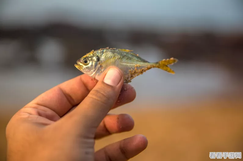 摩尔庄园手游，全鱼类垂钓秘籍大公开，助你成为钓鱼大师！