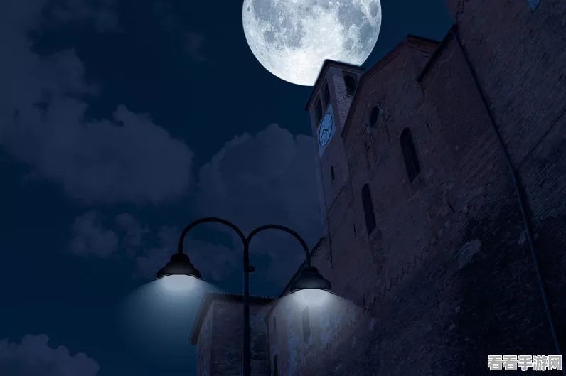 神都夜行录，照夜武器游侠兑换大理寺可能性解析及攻略