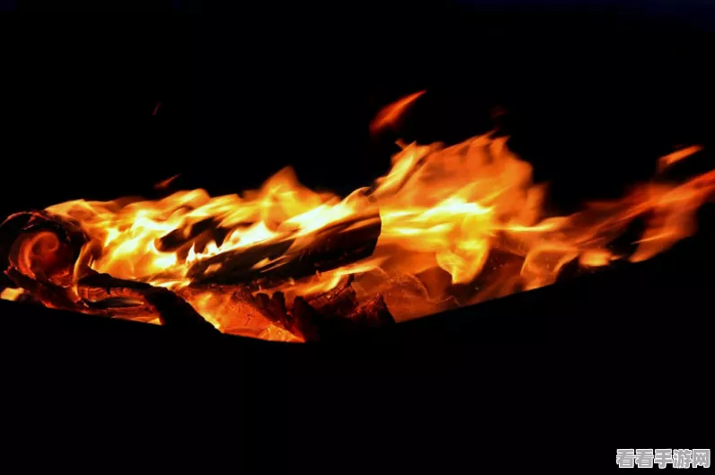 欢乐狼人杀6人局全攻略，策略与技巧助你成为终极狼人大师