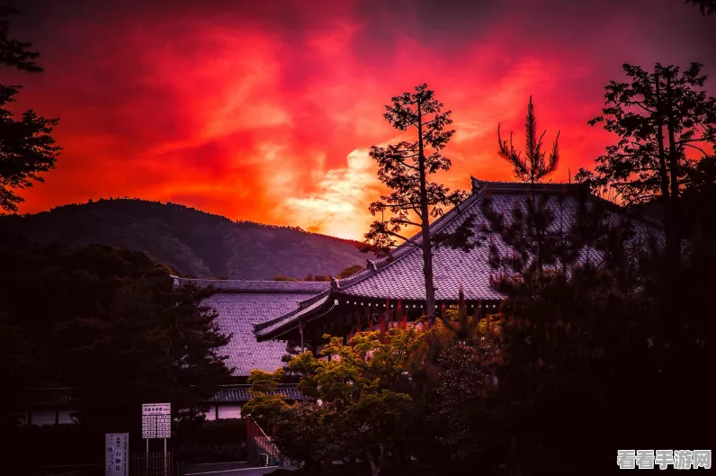 时空中的绘旅人，罗夏流年不晚深度解析与攻略指南