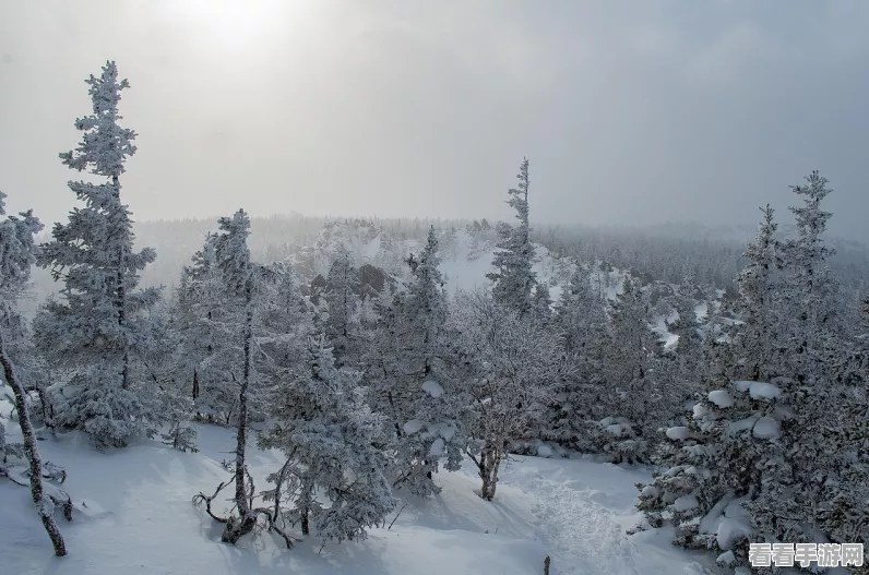 江南百景图临冬盛景，花似雪玩法全攻略，解锁冬日奇遇