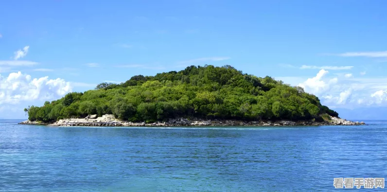 海岛奇兵攻略，解锁沙滩树种植秘籍，打造梦幻海岛！