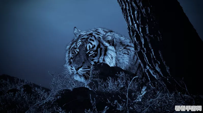 怪物猎人世界，护石获取秘籍，解锁狩猎巅峰之旅