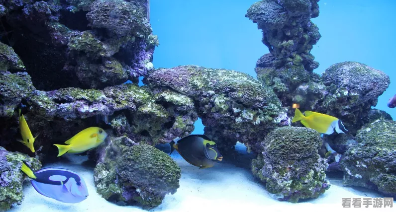 海底神殿探险指南，揭秘我的世界深海奇观攻略