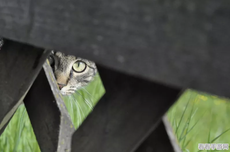 冰原狩猎利器，怪物猎人世界冰原顶级属性大剑推荐