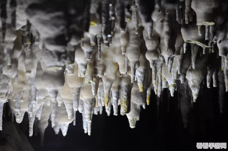 泰拉瑞亚探险指南，揭秘冰雪人鱼神秘掉落物品全览