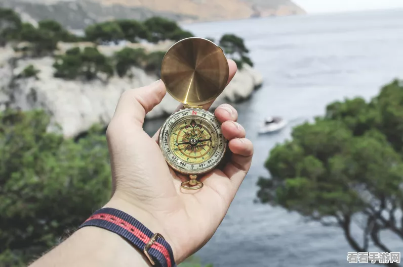 蒸汽之都探险指南，不思议迷宫高效组合推荐揭秘