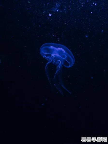 阴阳师海坊主新觉醒皮肤震撼登场，深海神秘力量，重塑战斗美学