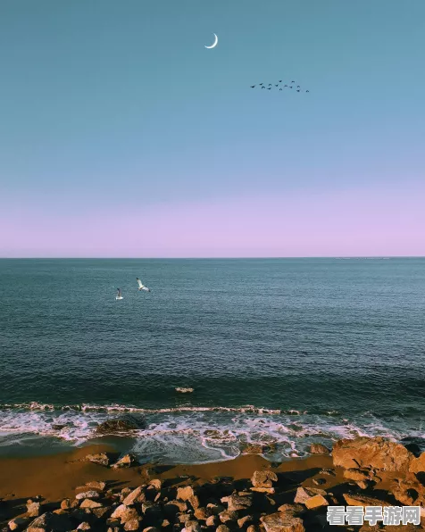 摩尔庄园海滩烟花秀全攻略，解锁璀璨盛景的最佳观赏点