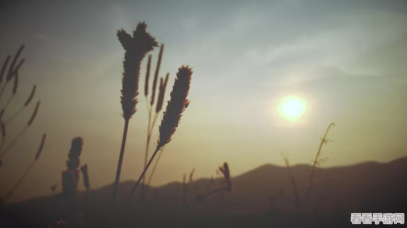 孤岛惊魂4速通秘籍，轻松跳过剧情动画技巧大揭秘