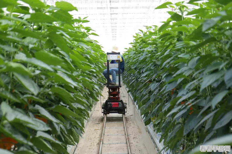 迷你世界园艺秘籍，解锁花种子种植全攻略