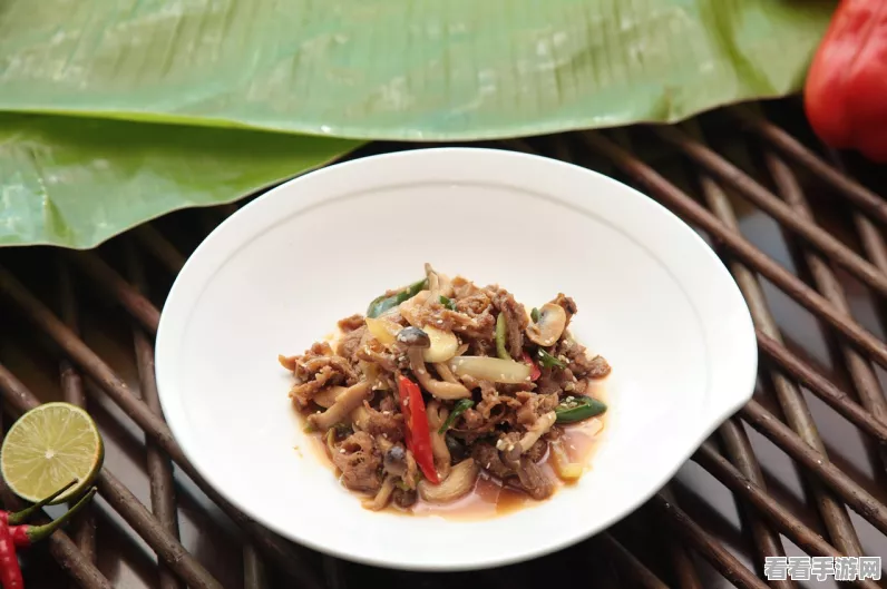 创造与魔法红烧茄子食谱揭秘，烹饪大师级美味佳肴