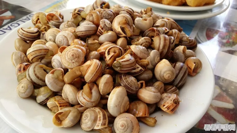 幻塔美食揭秘，蜗牛焗饭烹饪配方全攻略