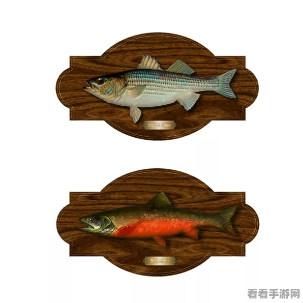 星露谷物语，揭秘虎纹鳟鱼的神秘钓点，助你成就钓鱼大师！