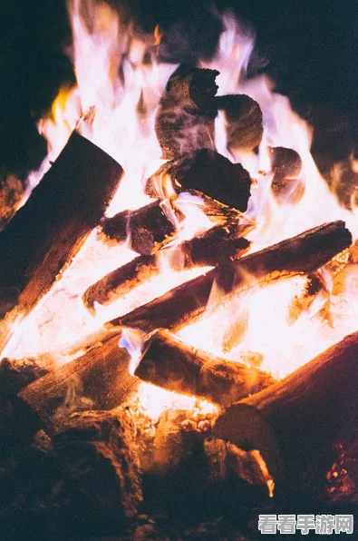 剑与远征，奇景探险爆火除魔全攻略，解锁隐藏宝藏秘籍