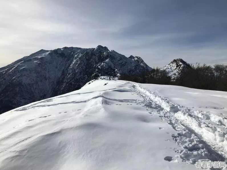 高山冒险滑雪安卓版下载-开放世界滑雪冒险类型游戏
