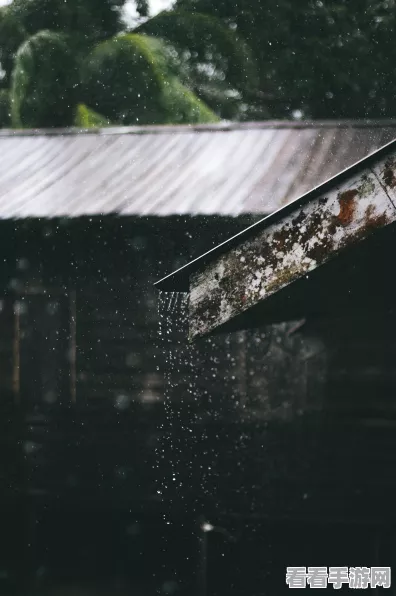 鸣潮手游攻略，解锁旧雨将至绝美拍照点，赢取限定奖励！