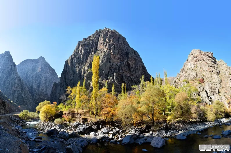 揭秘和平精英，山巅阴影中的策略对决与制胜秘籍